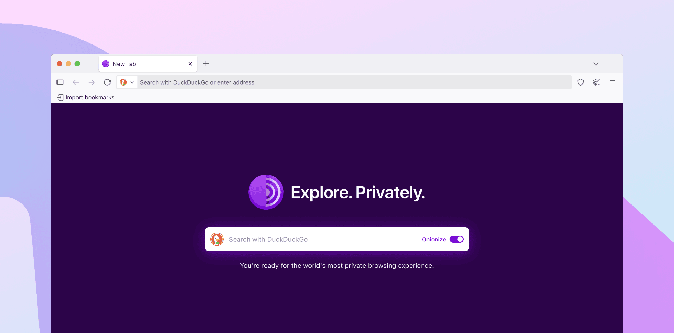 Tor Browser Windows 电脑版界面